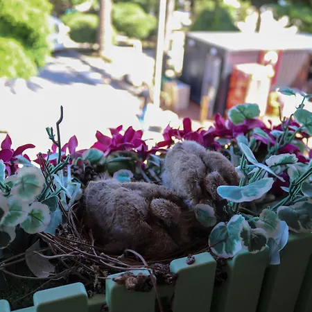 Quarto em Acomodações Particulares Doruk