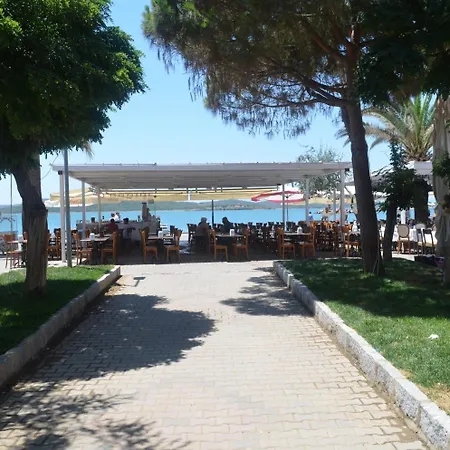 Doruk