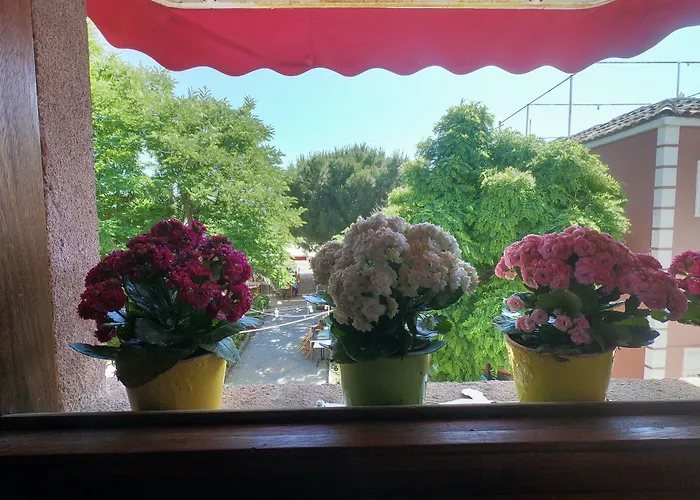 Homestay Doruk Ayvalik